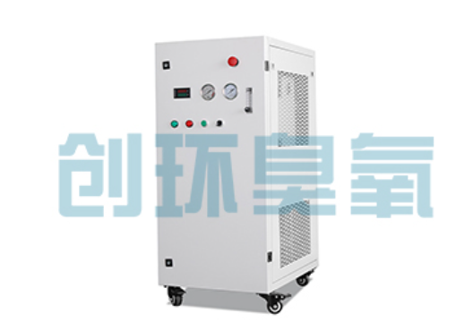 邯郸石斑鱼养殖水质调控完整指南:臭氧发生器配置与操作步骤